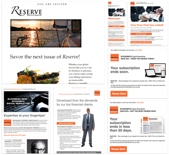 CMO Digital Marketing work Bloomberg Briefs image